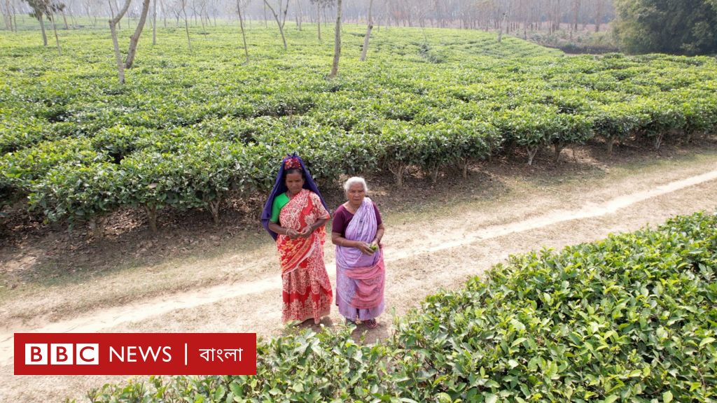 বাংলাদেশে মাত্র দু’জন কথা বলেন যে ভাষায়