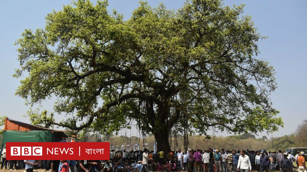 ভারতের ভোট : এই মারাত্মক গরমে নির্বাচনের জন্য দায়ী যে নেতা