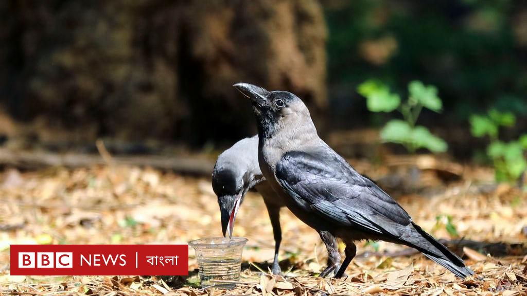 নতুন ‘হিট অ্যালার্ট’ জারি, তবে এবারের দাবদাহ শেষেই বৃষ্টিপাতের আশা